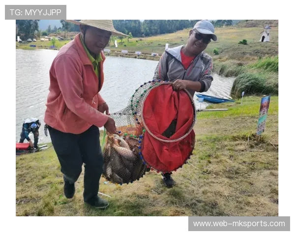 过度依赖即时回放系统是否影响比赛流畅性